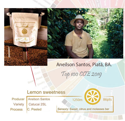 Specialty Coffee - Lemon Sweetness Microlot