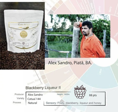 Specialty Coffee - Blackberry Microlot