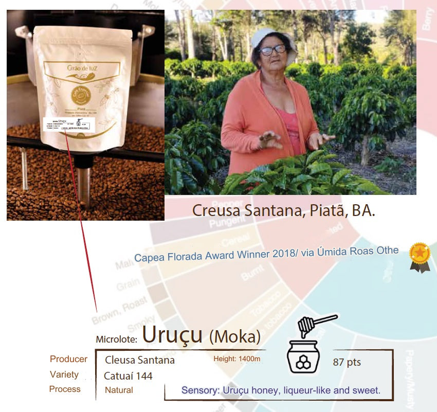 Specialty Coffee - Uruçu Microlot