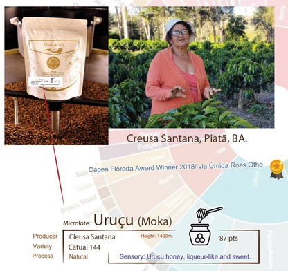 Specialty Coffee - Uruçu Microlot